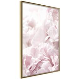 Arkiio Affisch Fluffy Peonies [Poster] 20x30 Poster